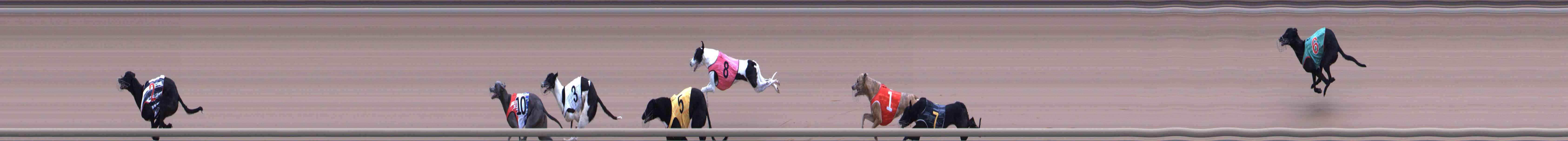 Photo finish for Healesville Race 1