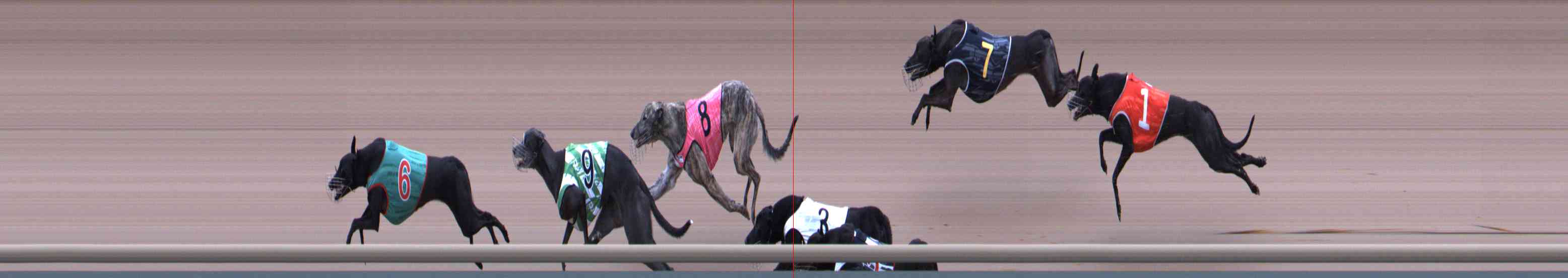 Photo finish for Healesville Race 2