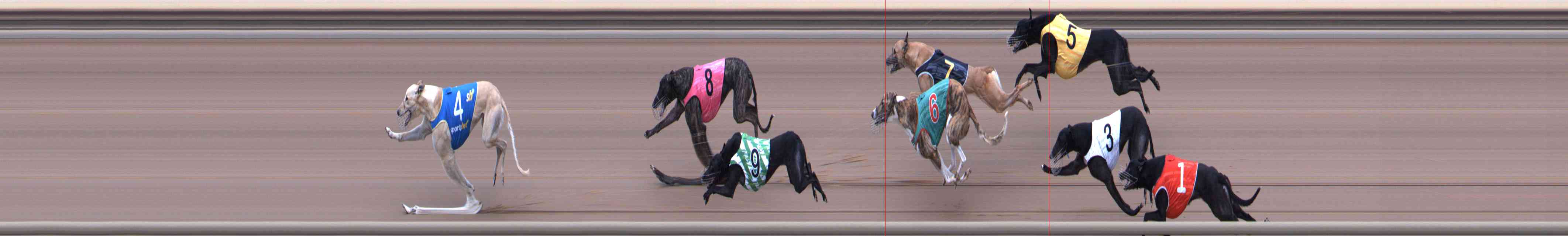 Photo finish for Healesville Race 3