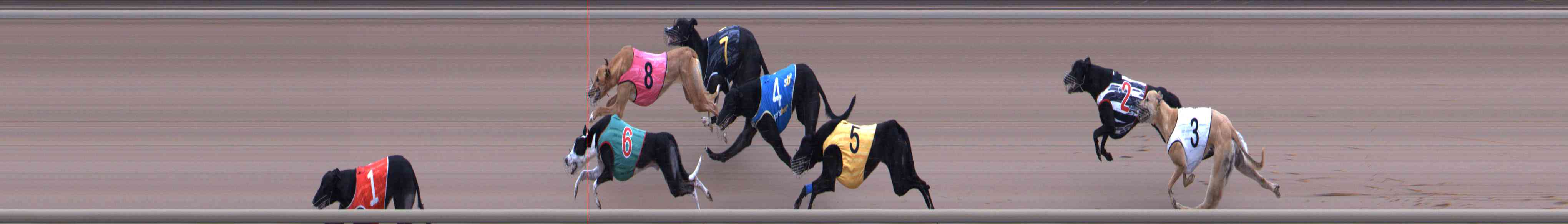 Photo finish for Healesville Race 4