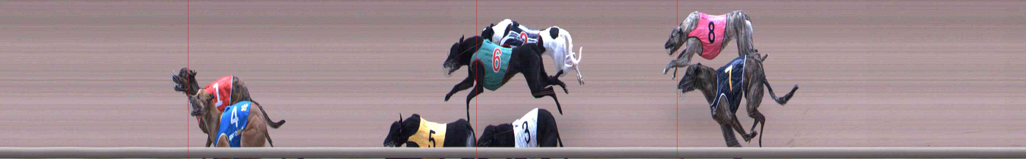 Photo finish for Healesville Race 5