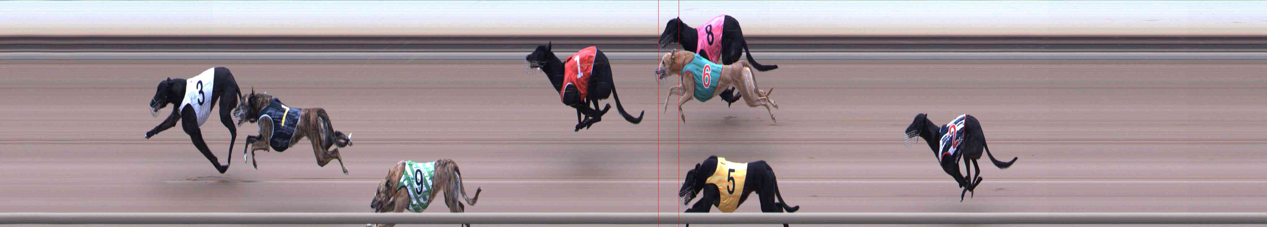Photo finish for Healesville Race 6
