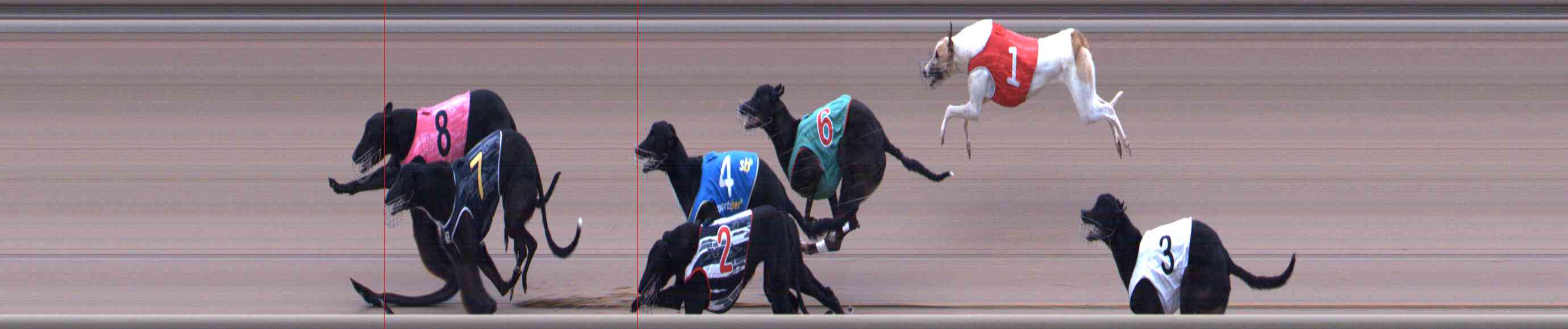 Photo finish for Healesville Race 7