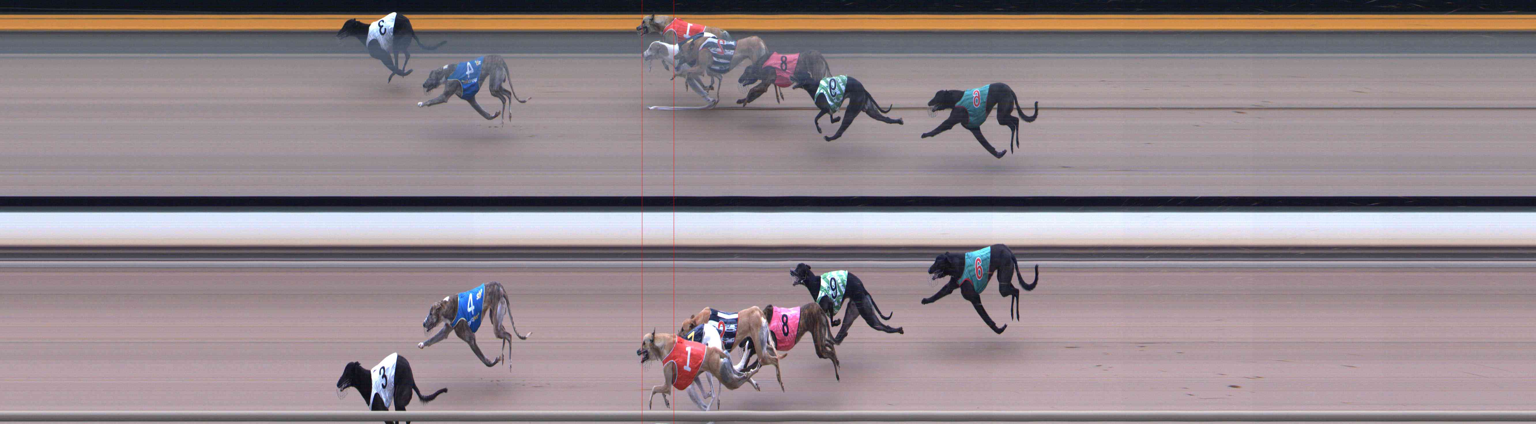 Photo finish for Healesville Race 8