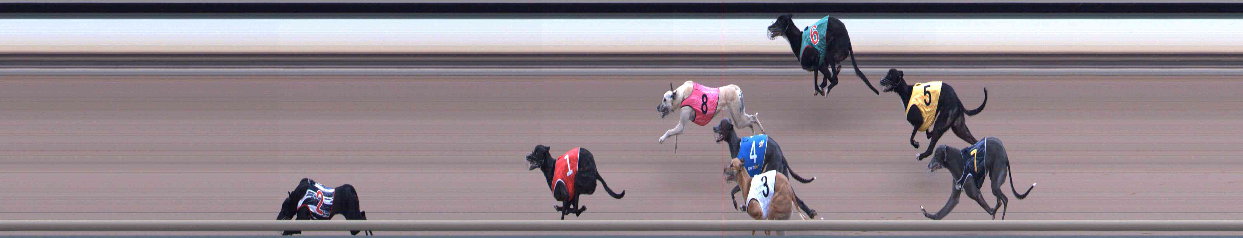Photo finish for Healesville Race 9