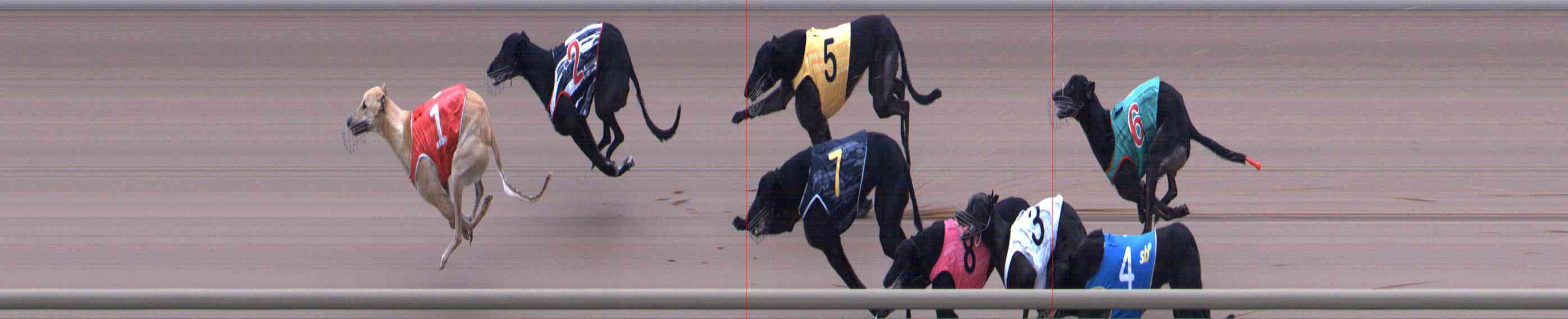 Photo finish for Healesville Race 10