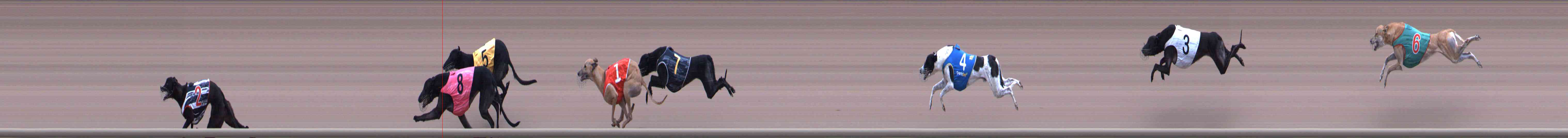 Photo finish for Healesville Race 11