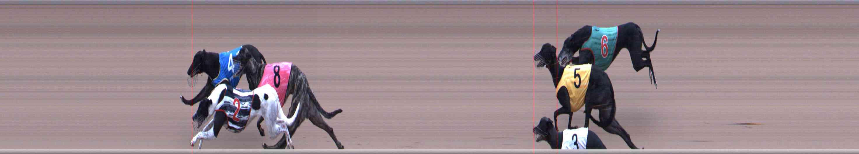 Photo finish for Healesville Race 12