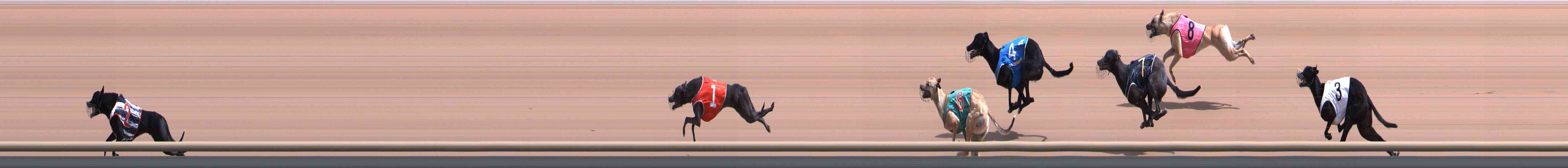 Photo finish for Healesville Race 1