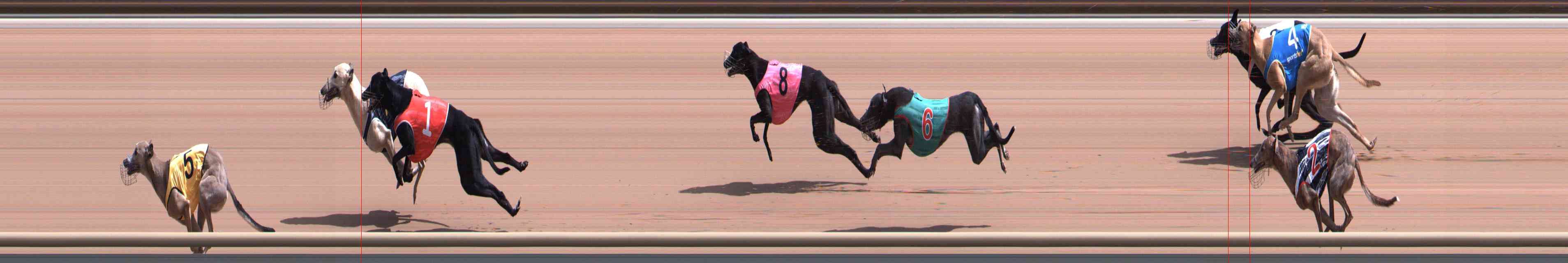 Photo finish for Healesville Race 2