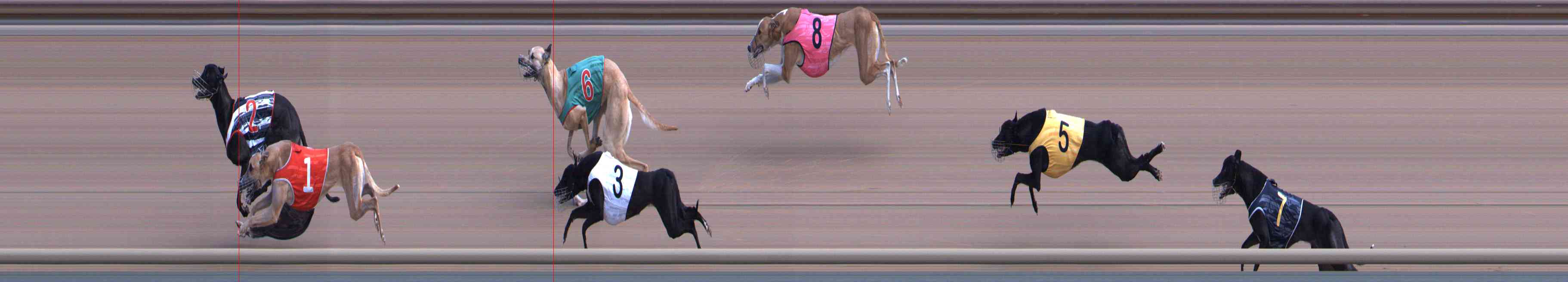 Photo finish for Healesville Race 3