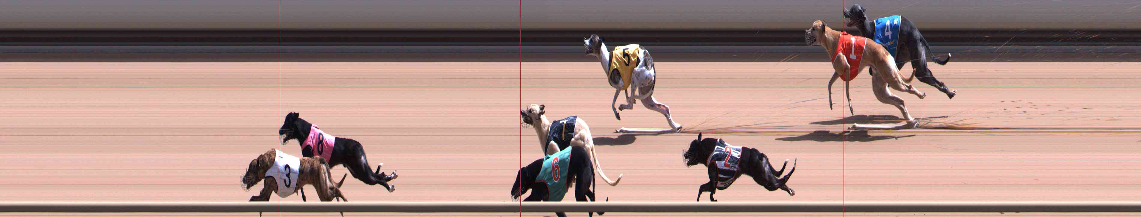 Photo finish for Healesville Race 5