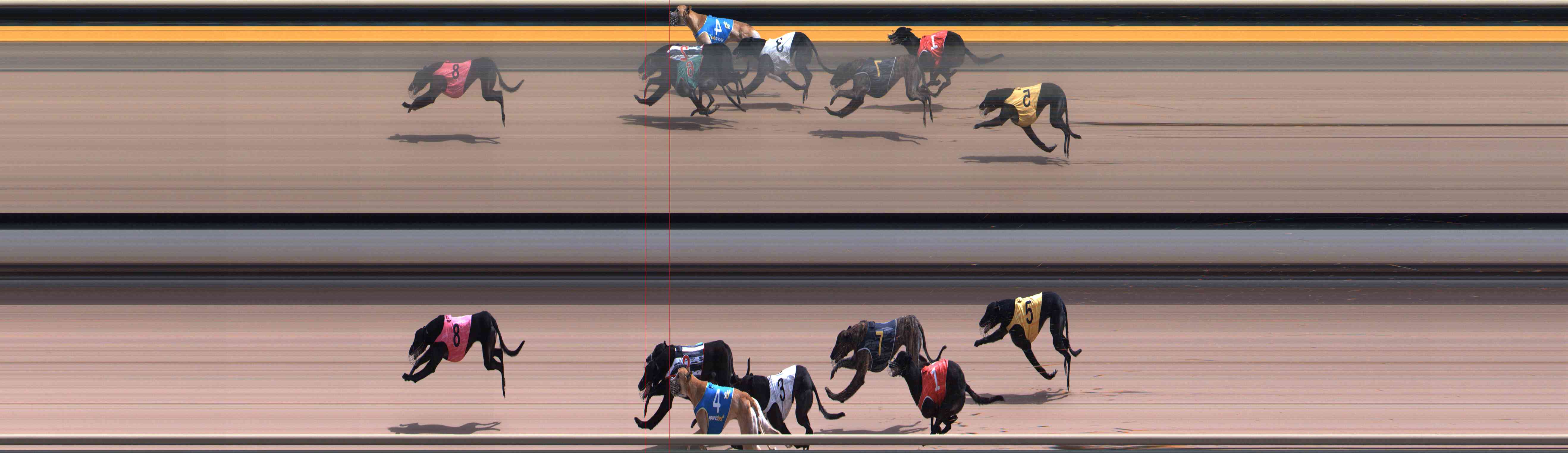 Photo finish for Healesville Race 6
