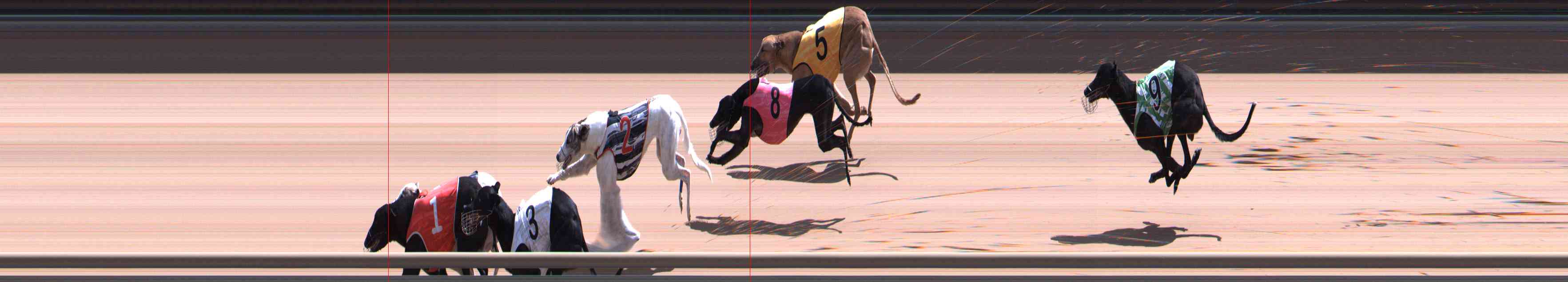 Photo finish for Healesville Race 7