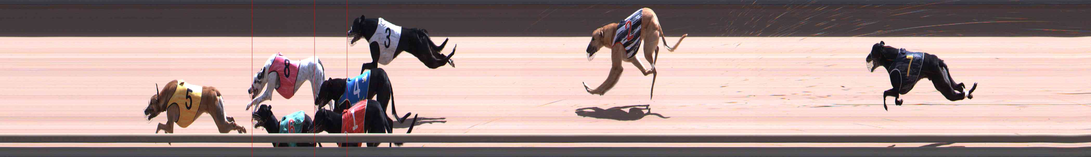 Photo finish for Healesville Race 8