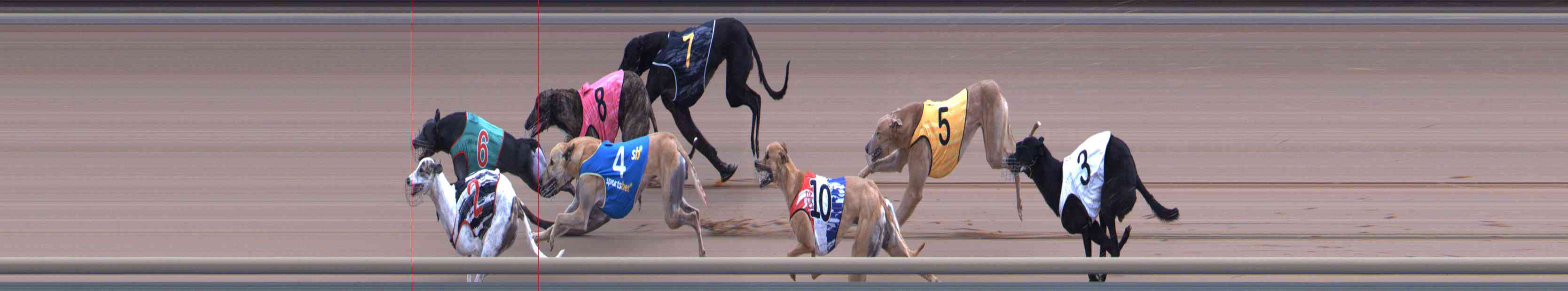 Photo finish for Healesville Race 9