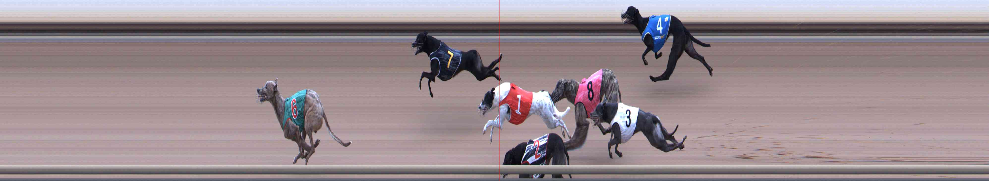 Photo finish for Healesville Race 10