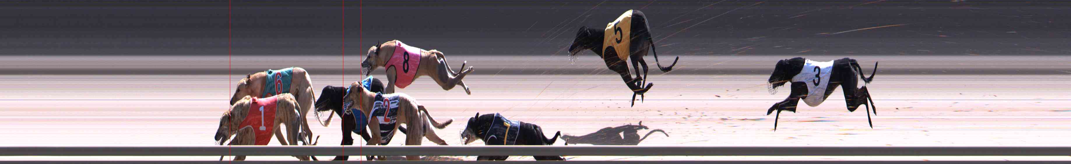 Photo finish for Healesville Race 12