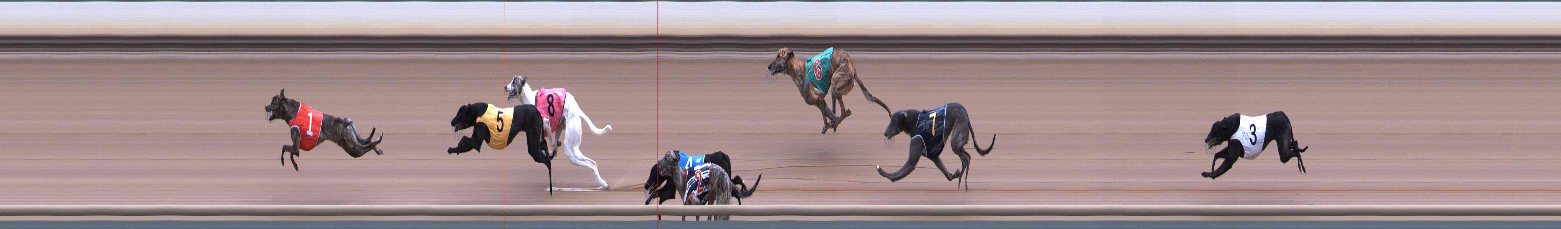 Photo finish for Healesville Race 1