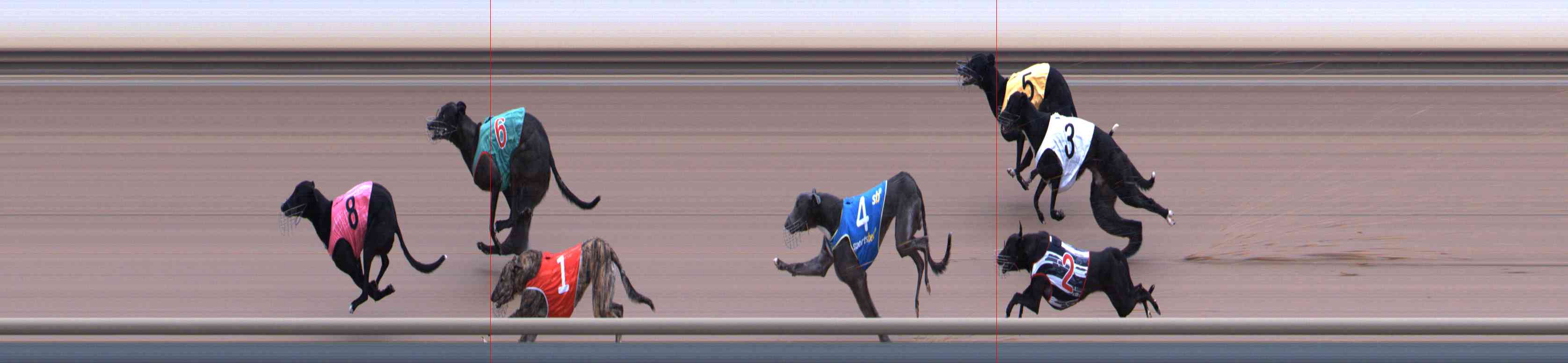 Photo finish for Healesville Race 2