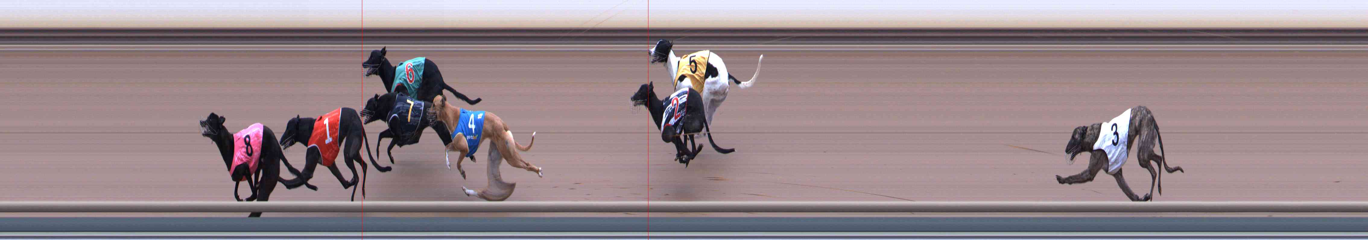 Photo finish for Healesville Race 3