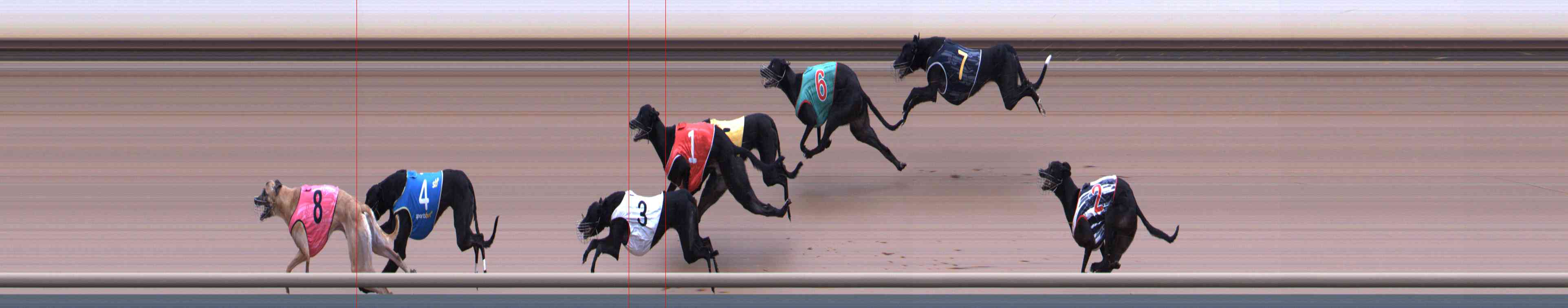Photo finish for Healesville Race 4