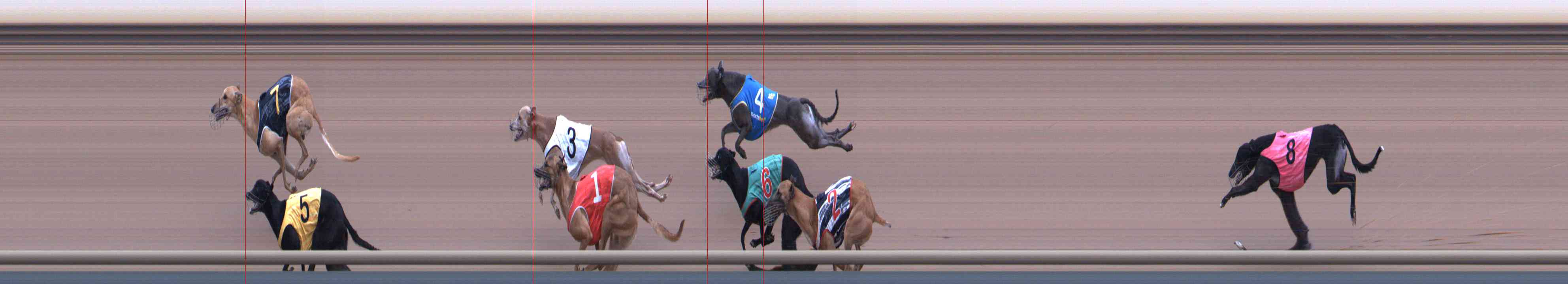 Photo finish for Healesville Race 5