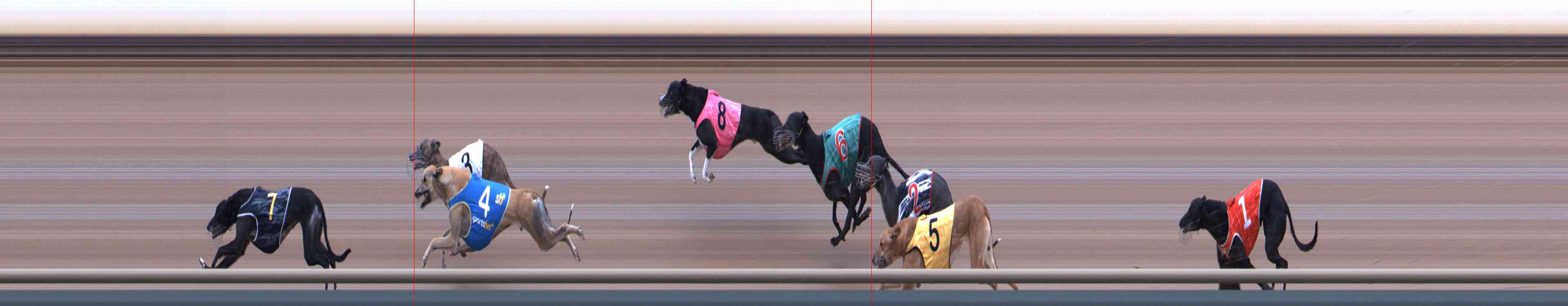 Photo finish for Healesville Race 6