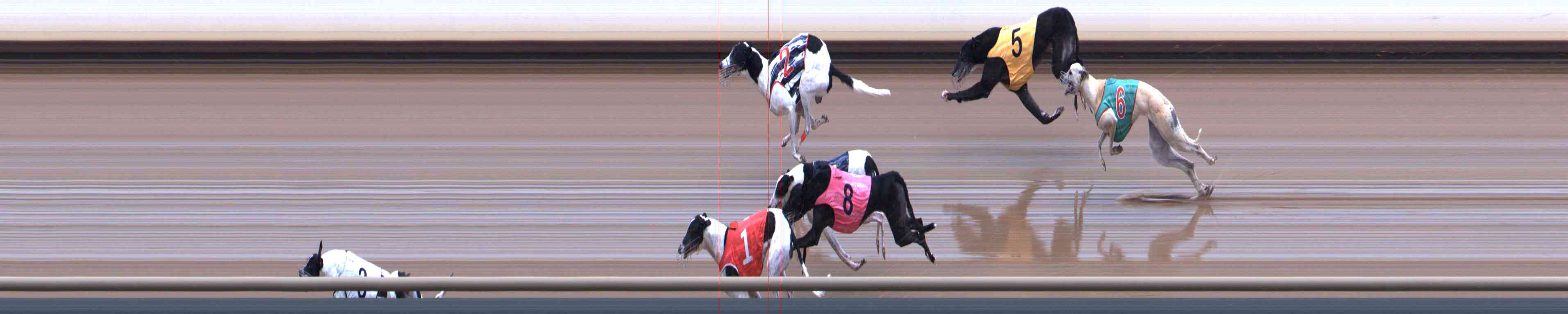 Photo finish for Healesville Race 7