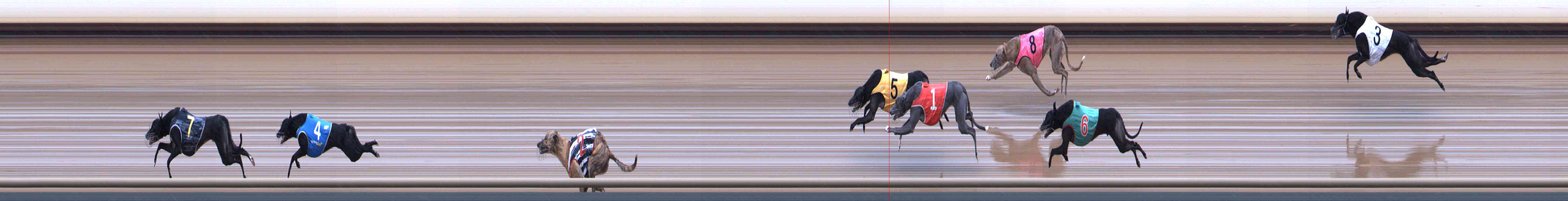 Photo finish for Healesville Race 8