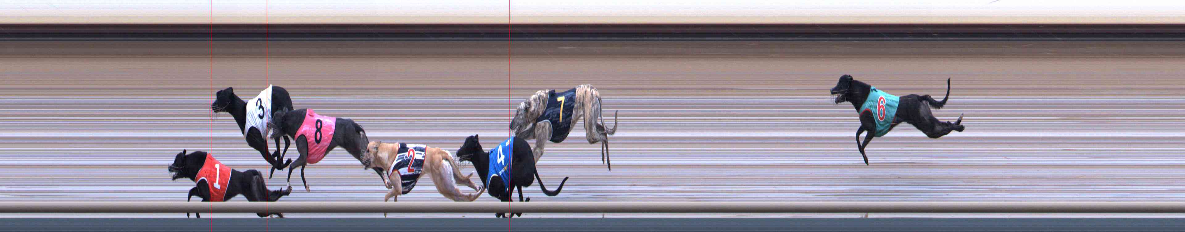 Photo finish for Healesville Race 10