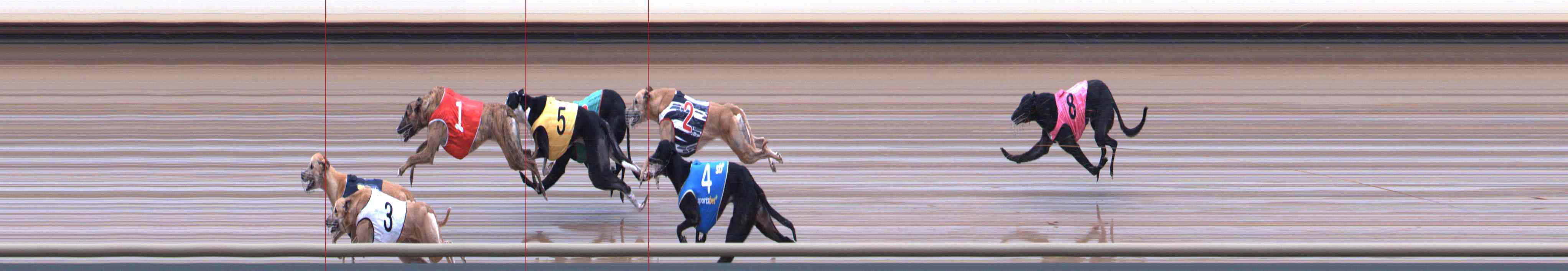 Photo finish for Healesville Race 11
