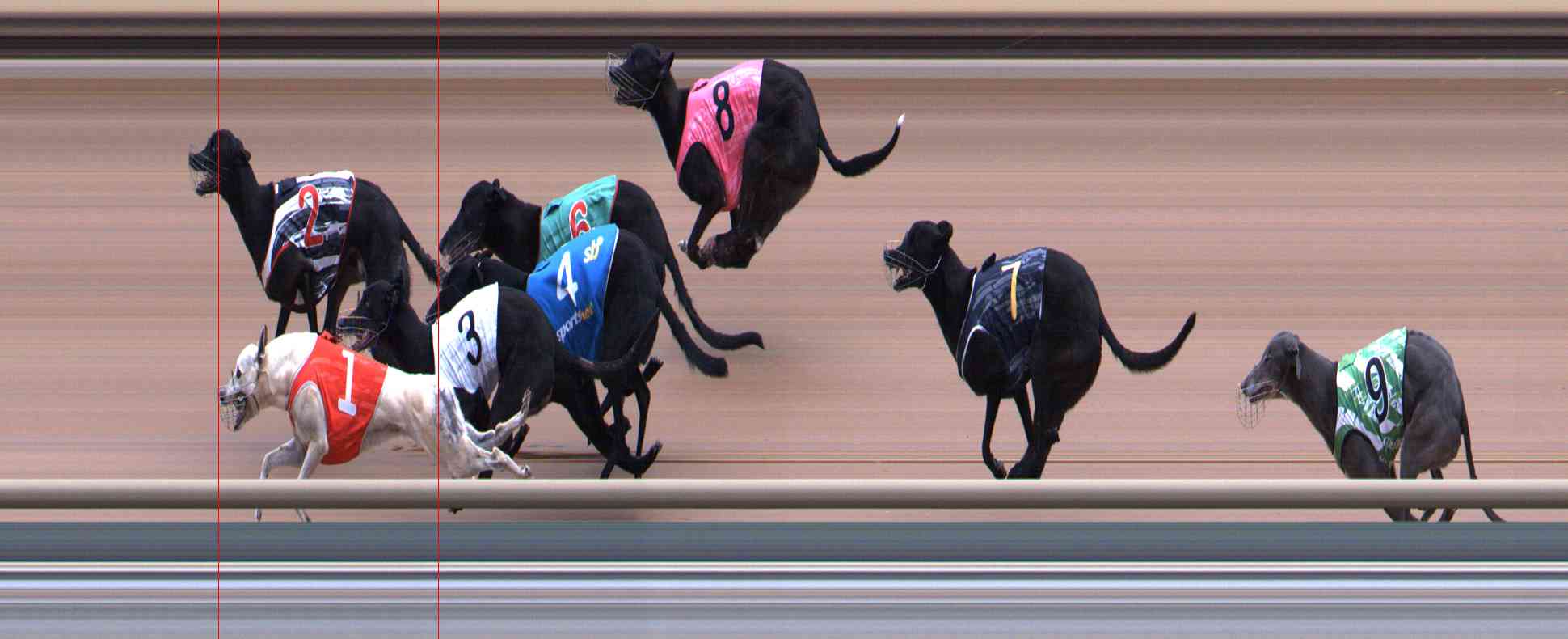 Photo finish for Healesville Race 6