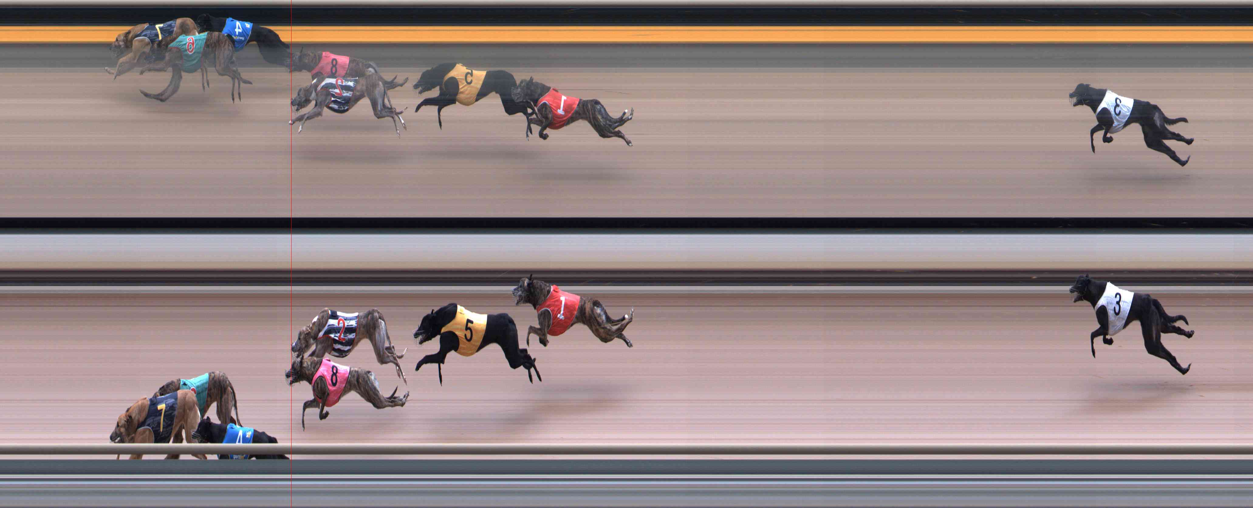Photo finish for Healesville Race 8