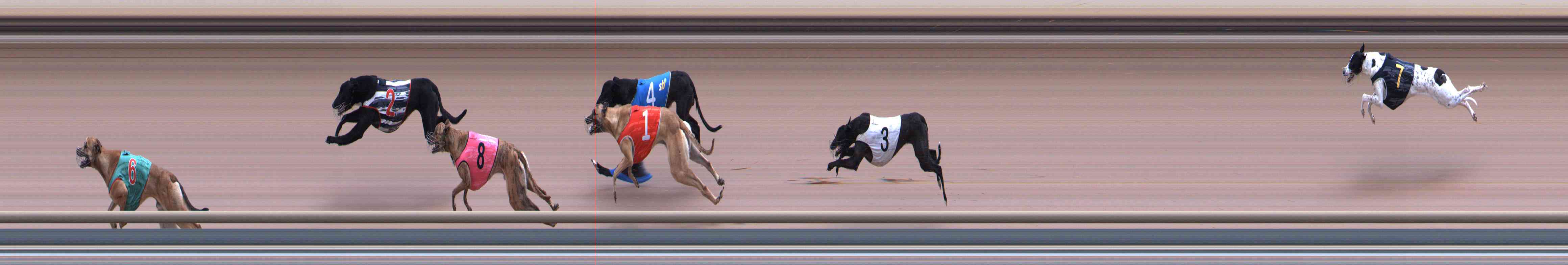 Photo finish for Healesville Race 9