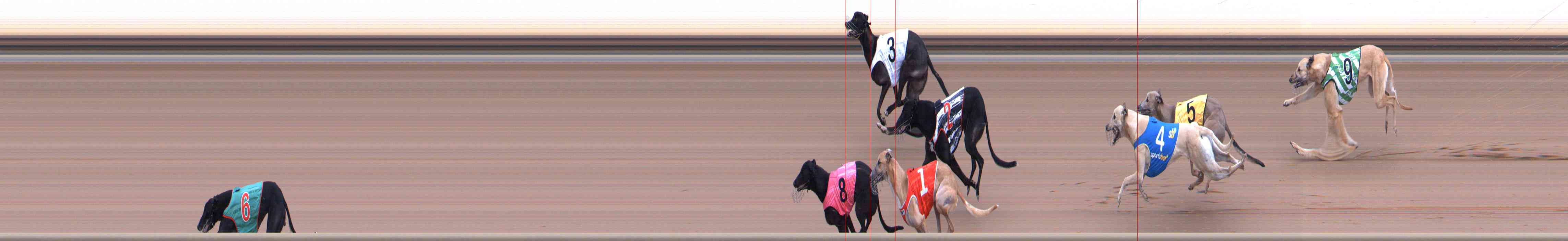 Photo finish for Healesville Race 1