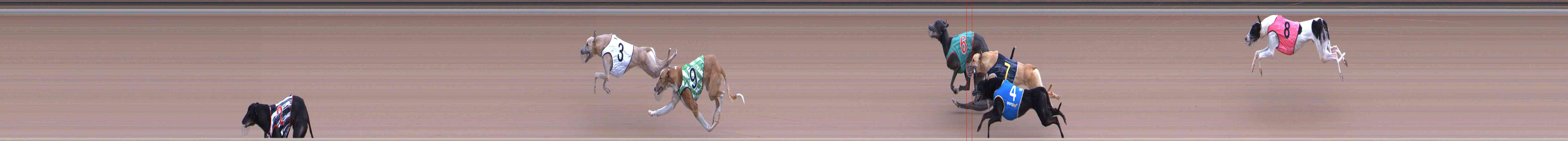 Photo finish for Healesville Race 2