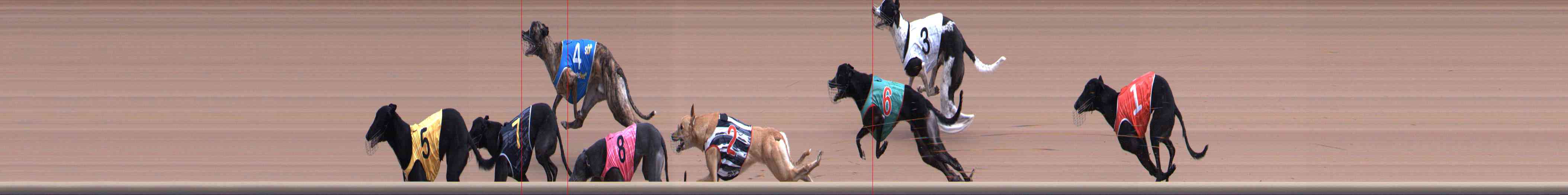 Photo finish for Healesville Race 3