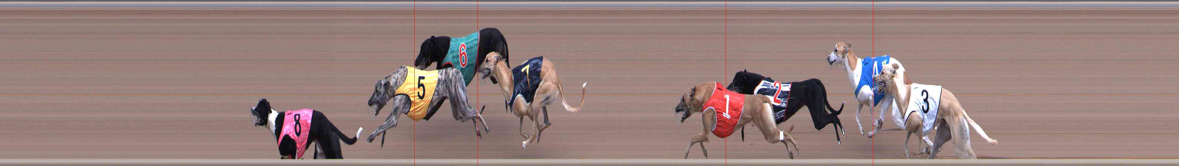 Photo finish for Healesville Race 4