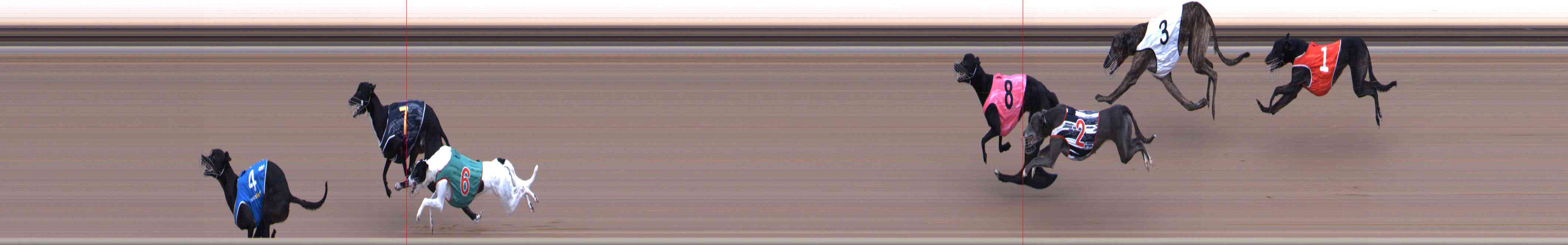 Photo finish for Healesville Race 5