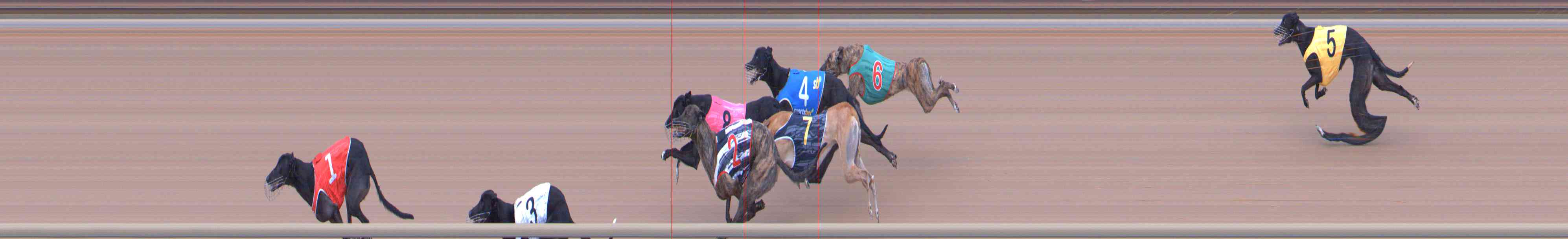 Photo finish for Healesville Race 6