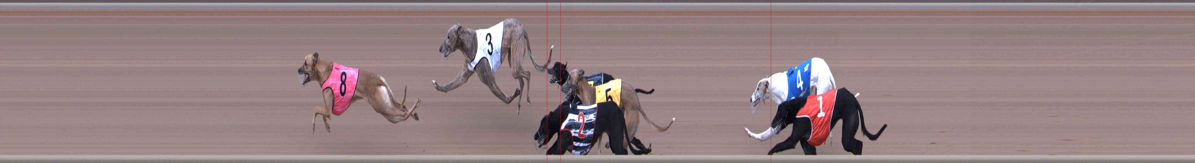 Photo finish for Healesville Race 7
