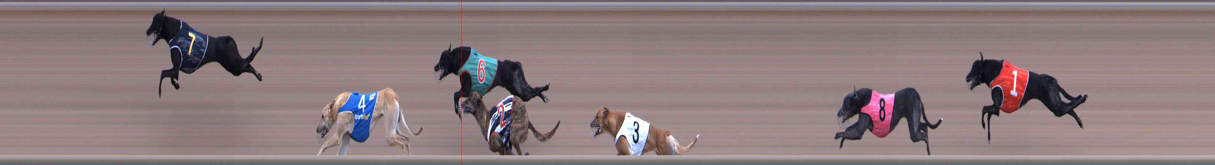 Photo finish for Healesville Race 9