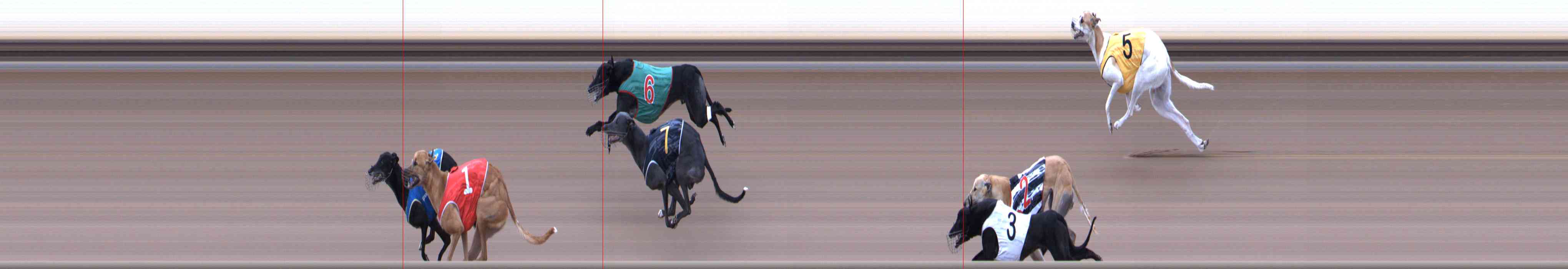 Photo finish for Healesville Race 10
