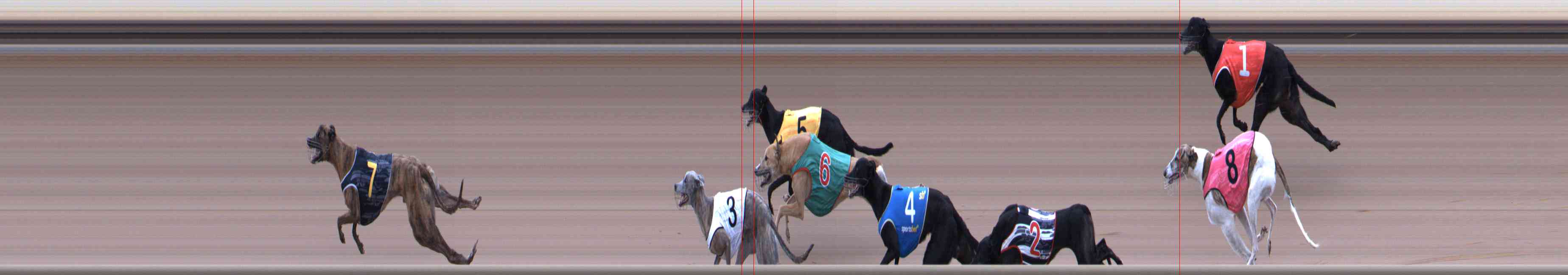 Photo finish for Healesville Race 11