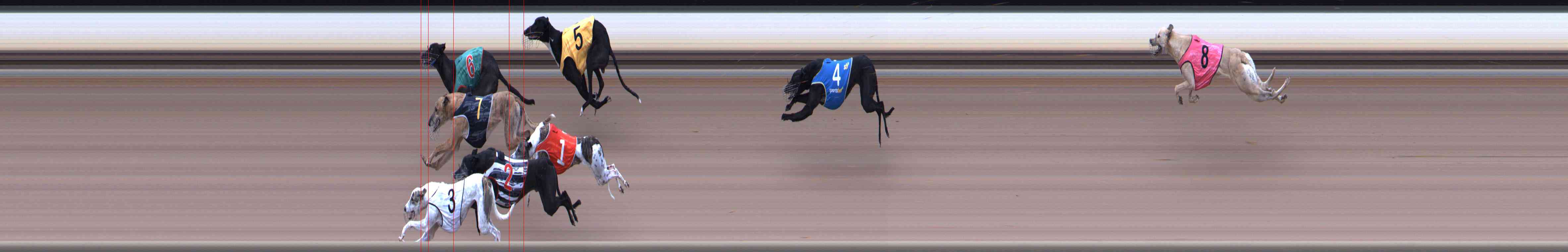 Photo finish for Healesville Race 12
