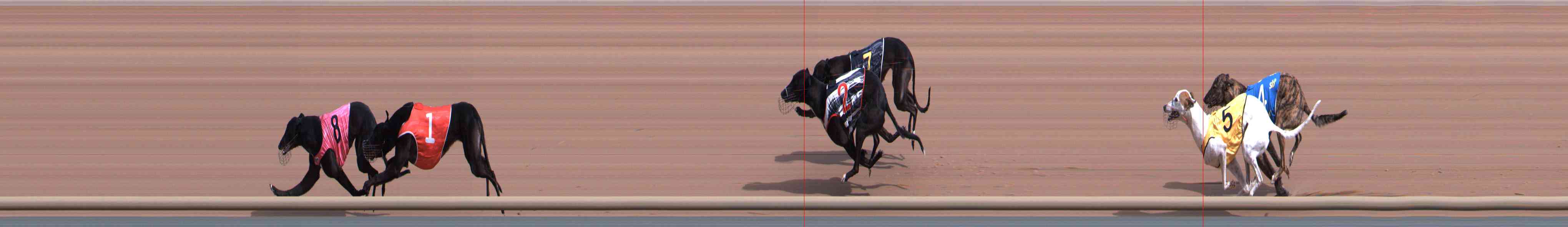 Race result finish photo