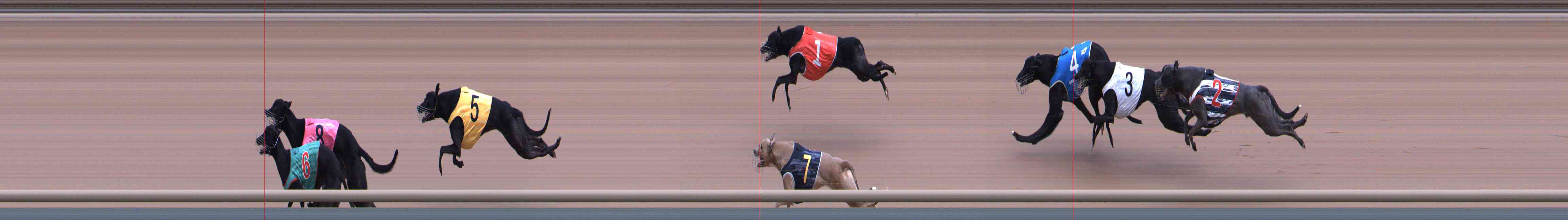 Photo finish for Healesville Race 3