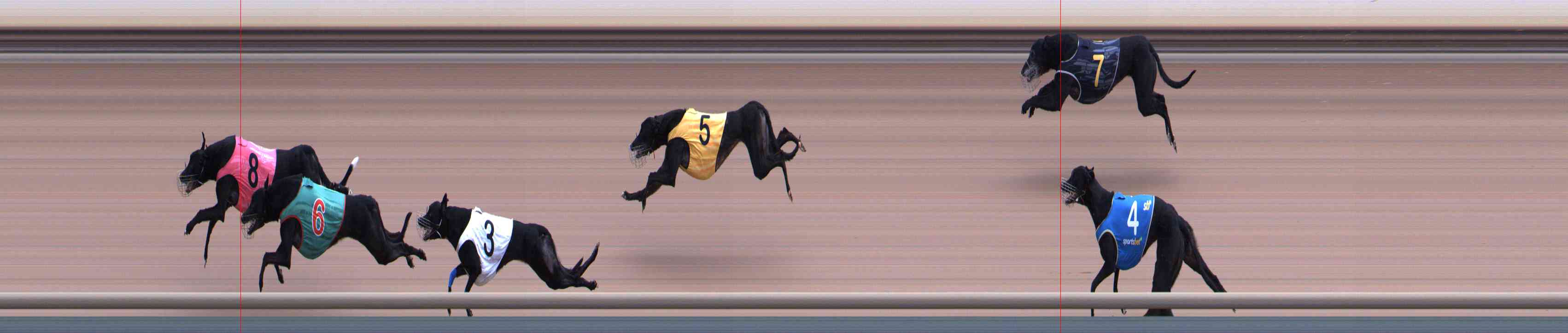 Photo finish for Healesville Race 4