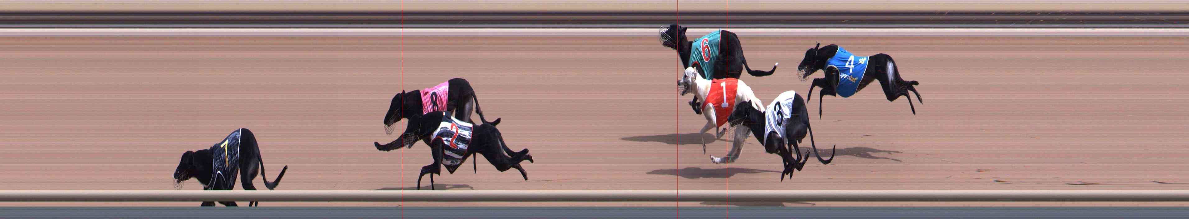 Photo finish for Healesville Race 5
